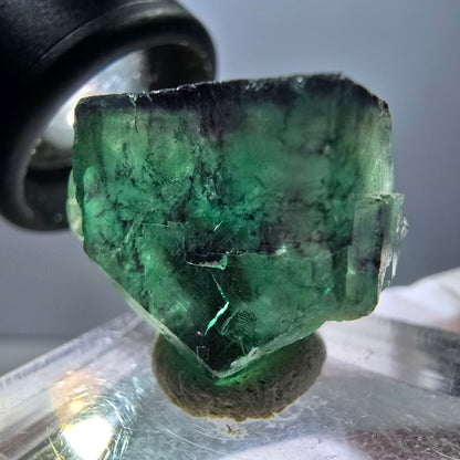 Rare spécimen de cube de fluorite fantôme, vert-violet, Okorusu, Namibie, 24 x 19 x 13 mm 
