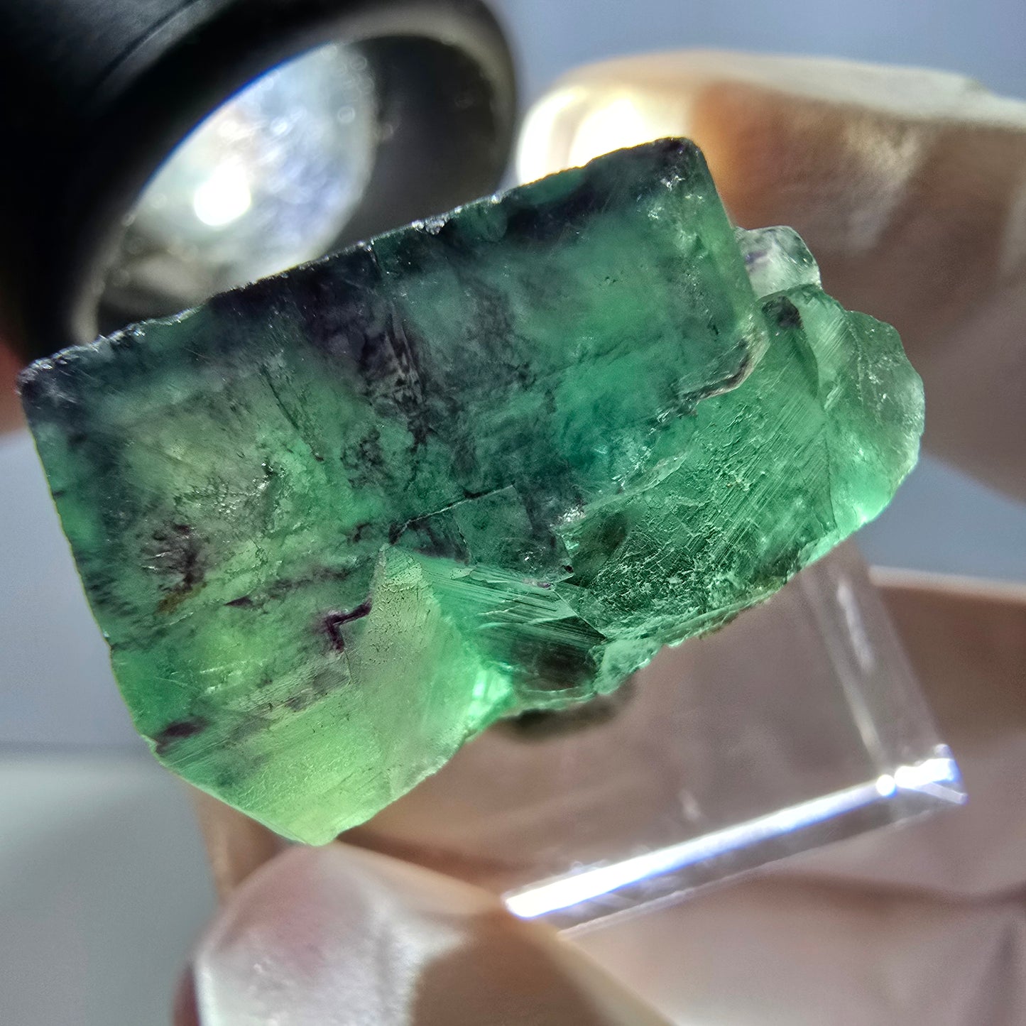 Rare spécimen de cube de fluorite fantôme, vert-violet, Okorusu, Namibie, 24 x 19 x 13 mm 