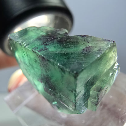 Rare spécimen de cube de fluorite fantôme, vert-violet, Okorusu, Namibie, 24 x 19 x 13 mm 