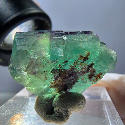 Rare spécimen de cube de fluorite fantôme, vert-violet, Okorusu, Namibie, 24 x 19 x 13 mm 