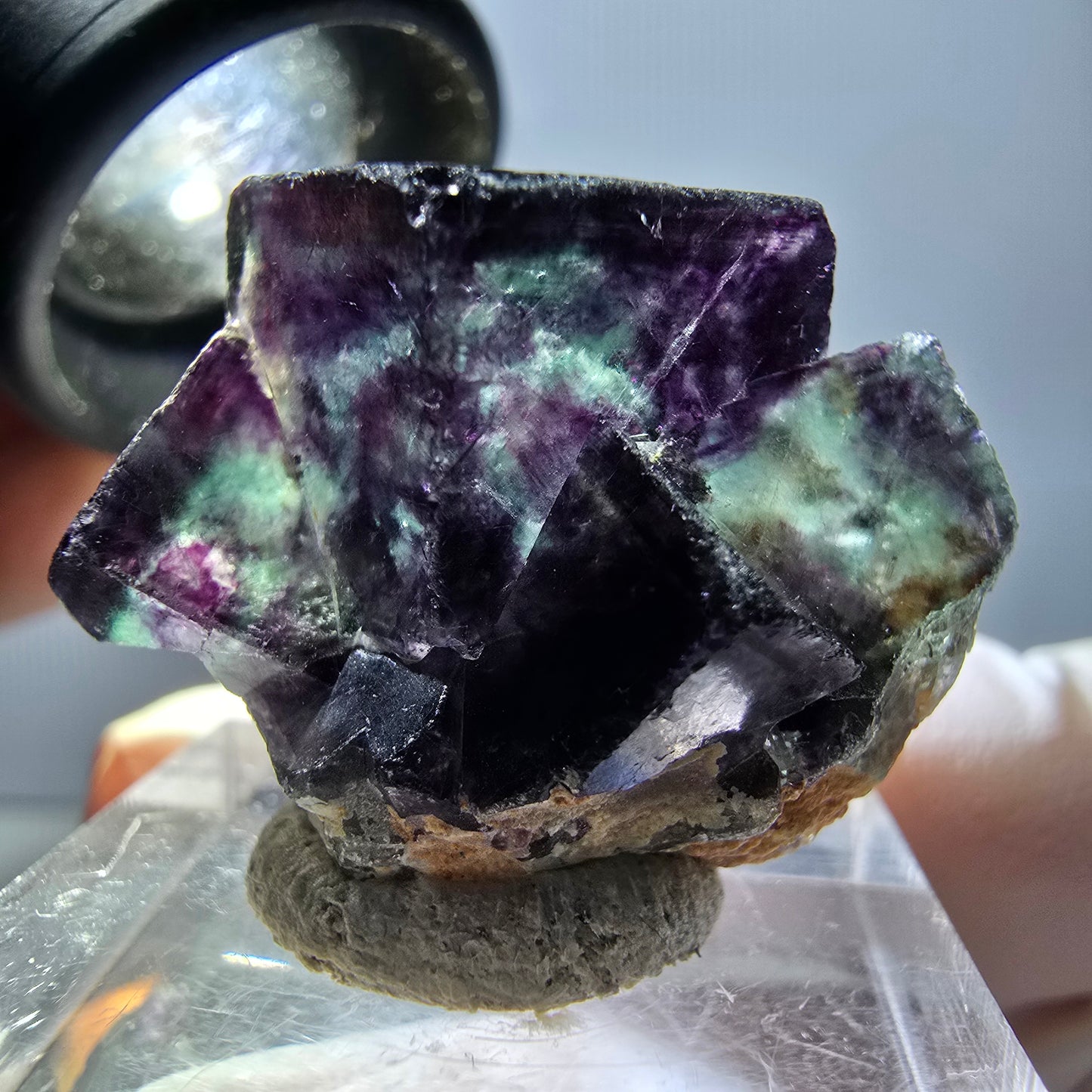 Rare spécimen de cube de fluorite fantôme, vert-violet, Okorusu, Namibie, 30 x 22 x 15 mm 