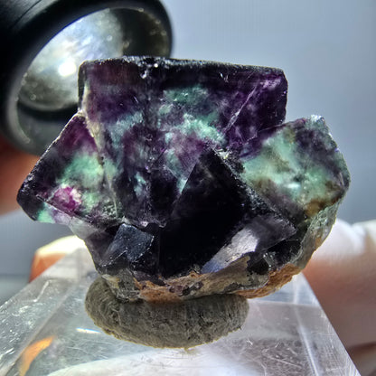 Rare spécimen de cube de fluorite fantôme, vert-violet, Okorusu, Namibie, 30 x 22 x 15 mm 