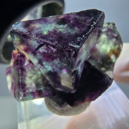 Rare spécimen de cube de fluorite fantôme, vert-violet, Okorusu, Namibie, 30 x 22 x 15 mm 