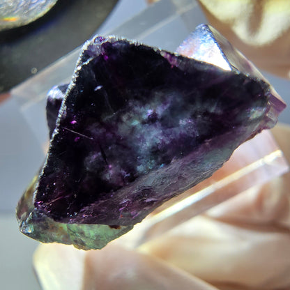 Rare spécimen de cube de fluorite fantôme, vert-violet, Okorusu, Namibie, 30 x 22 x 15 mm 