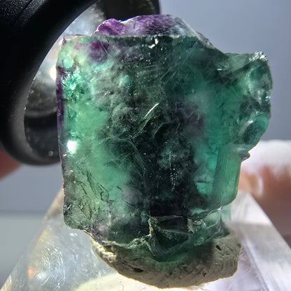 Rare spécimen de cube de fluorite fantôme, vert-violet, Okorusu, Namibie, 27 x 19 x 19 mm 
