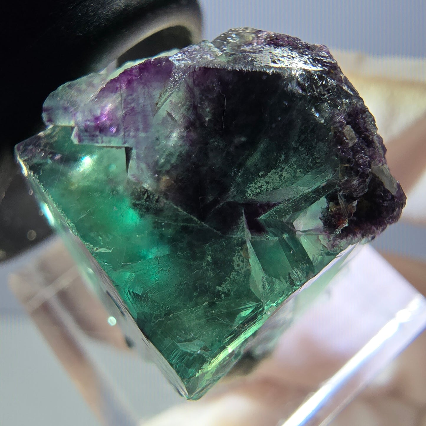 Rare spécimen de cube de fluorite fantôme, vert-violet, Okorusu, Namibie, 27 x 19 x 19 mm 