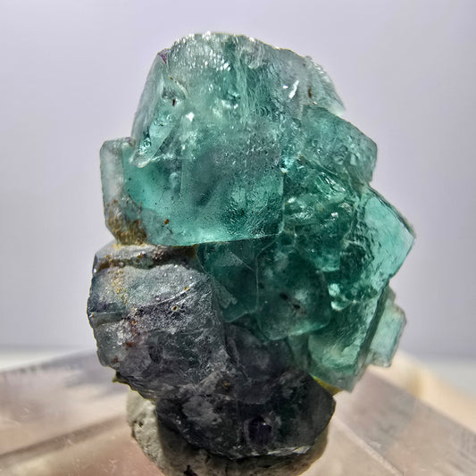 Rare spécimen de cube de fluorite fantôme, vert-violet, Okorusu, Namibie, 23 x 20 x 10 mm 