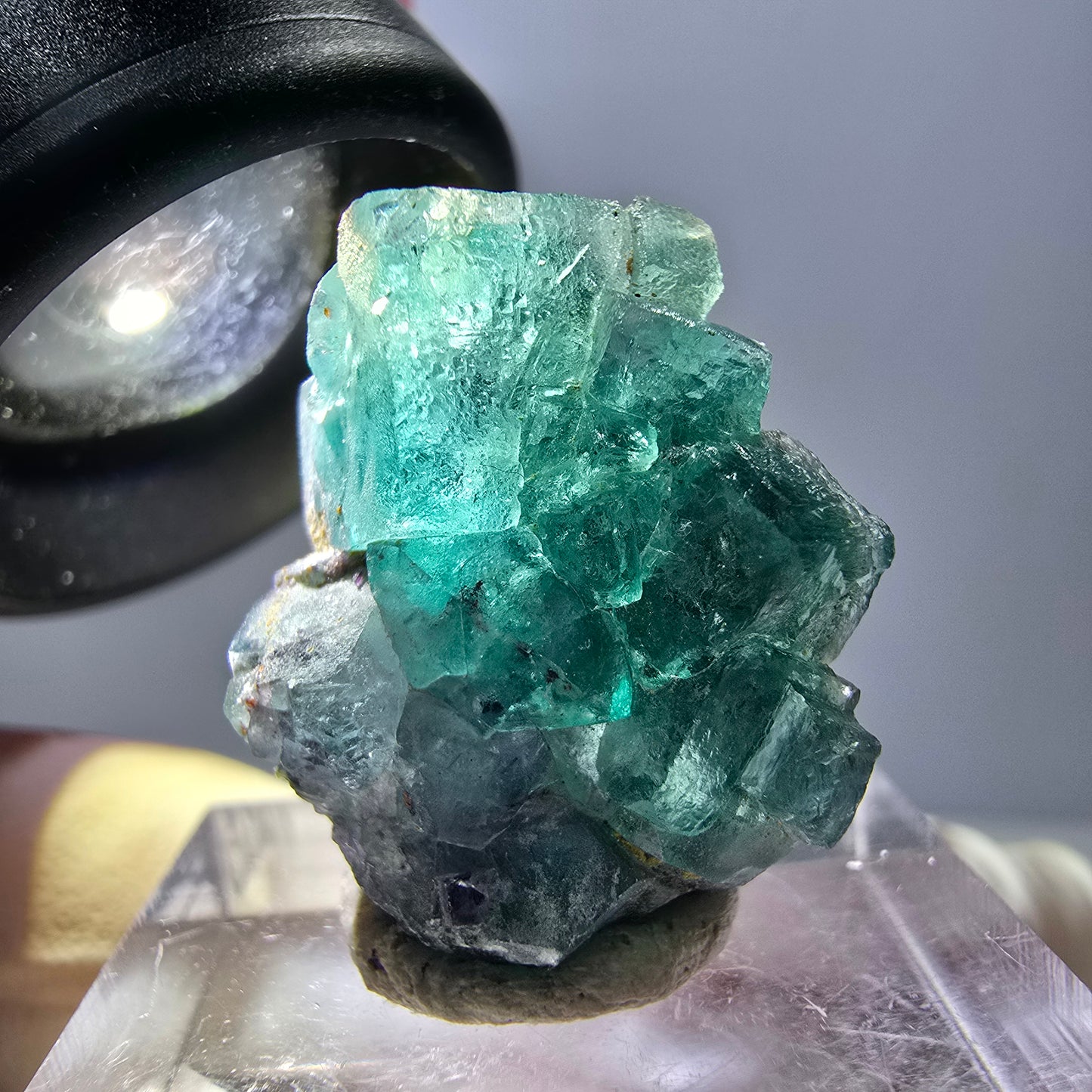 Rare spécimen de cube de fluorite fantôme, vert-violet, Okorusu, Namibie, 23 x 20 x 10 mm 