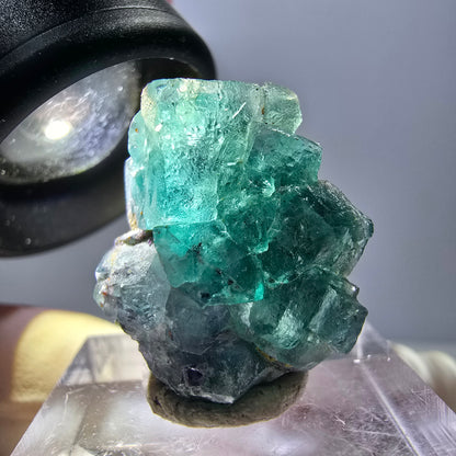 Rare spécimen de cube de fluorite fantôme, vert-violet, Okorusu, Namibie, 23 x 20 x 10 mm 