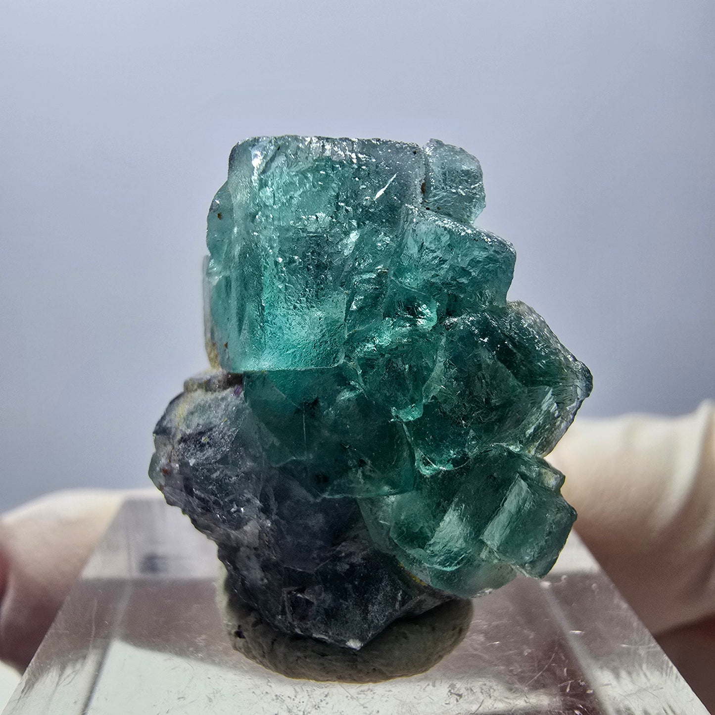 Rare spécimen de cube de fluorite fantôme, vert-violet, Okorusu, Namibie, 23 x 20 x 10 mm 