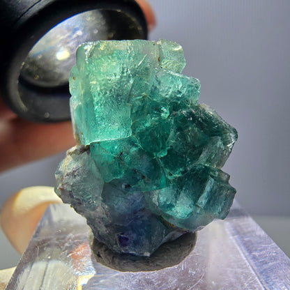 Rare spécimen de cube de fluorite fantôme, vert-violet, Okorusu, Namibie, 23 x 20 x 10 mm 