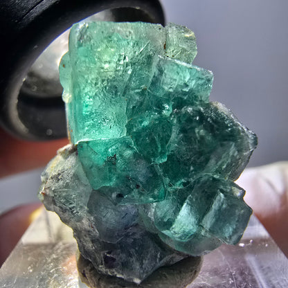 Rare spécimen de cube de fluorite fantôme, vert-violet, Okorusu, Namibie, 23 x 20 x 10 mm 