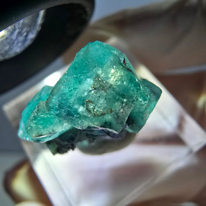 Rare spécimen de cube de fluorite fantôme, vert-violet, Okorusu, Namibie, 23 x 20 x 10 mm 
