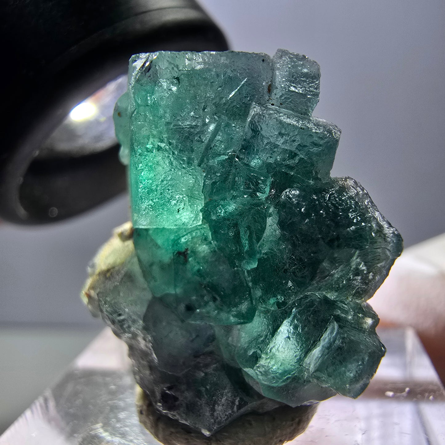 Rare spécimen de cube de fluorite fantôme, vert-violet, Okorusu, Namibie, 23 x 20 x 10 mm 