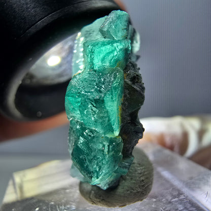 Rare spécimen de cube de fluorite fantôme, vert-violet, Okorusu, Namibie, 23 x 20 x 10 mm 