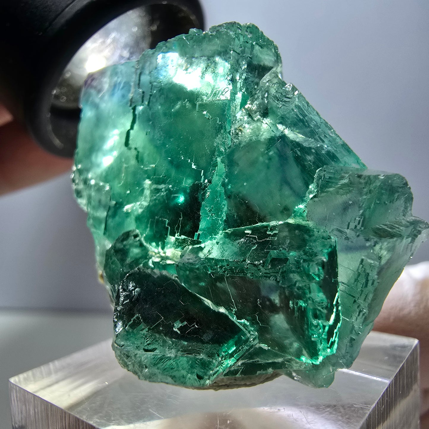 Rare spécimen de cube de fluorite fantôme, vert-violet, Okorusu, Namibie, 36 x 29 x 21 mm 