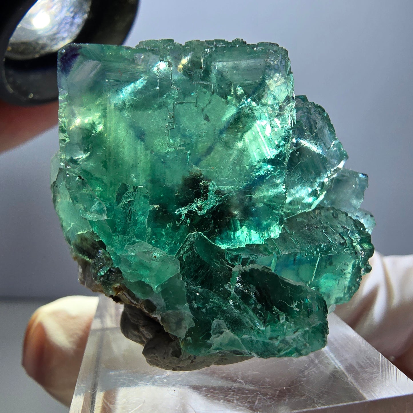 Rare spécimen de cube de fluorite fantôme, vert-violet, Okorusu, Namibie, 36 x 29 x 21 mm 