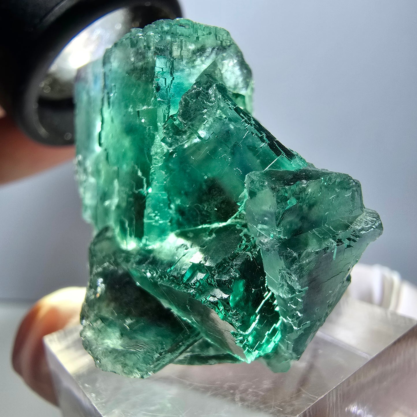 Rare spécimen de cube de fluorite fantôme, vert-violet, Okorusu, Namibie, 36 x 29 x 21 mm 