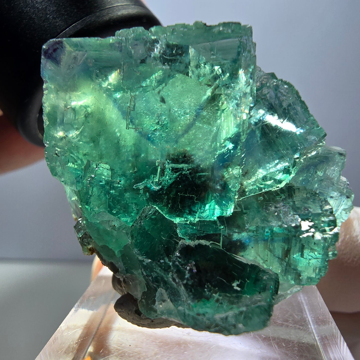 Rare spécimen de cube de fluorite fantôme, vert-violet, Okorusu, Namibie, 36 x 29 x 21 mm 