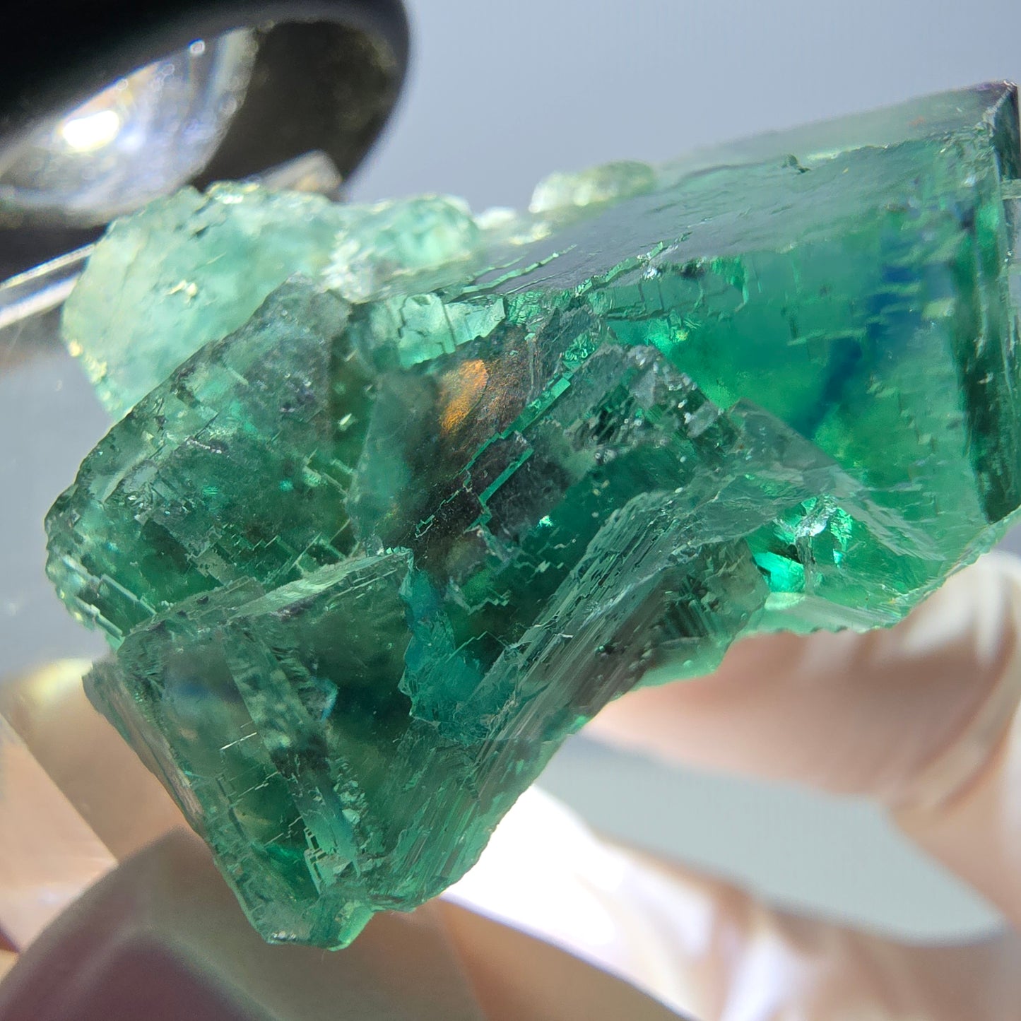 Rare spécimen de cube de fluorite fantôme, vert-violet, Okorusu, Namibie, 36 x 29 x 21 mm 