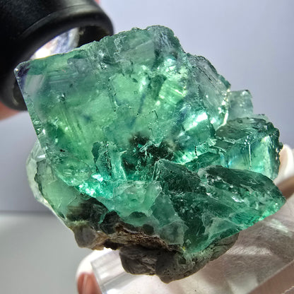 Rare spécimen de cube de fluorite fantôme, vert-violet, Okorusu, Namibie, 36 x 29 x 21 mm 