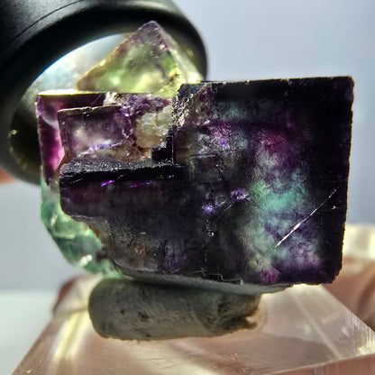 Rare spécimen de cube de fluorite fantôme, vert-violet, Okorusu, Namibie, 40 x 28 x 28 mm 