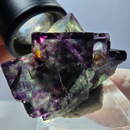 Rare spécimen de cube de fluorite fantôme, vert-violet, Okorusu, Namibie, 40 x 28 x 28 mm 