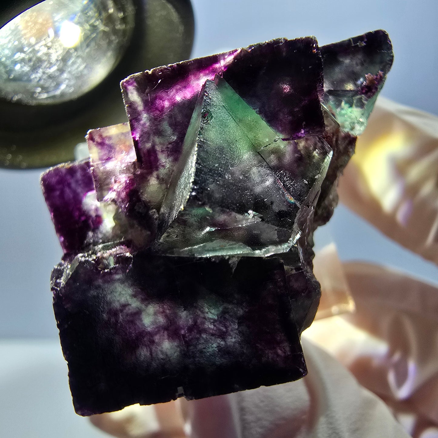 Rare spécimen de cube de fluorite fantôme, vert-violet, Okorusu, Namibie, 40 x 28 x 28 mm 