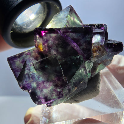 Rare spécimen de cube de fluorite fantôme, vert-violet, Okorusu, Namibie, 40 x 28 x 28 mm 