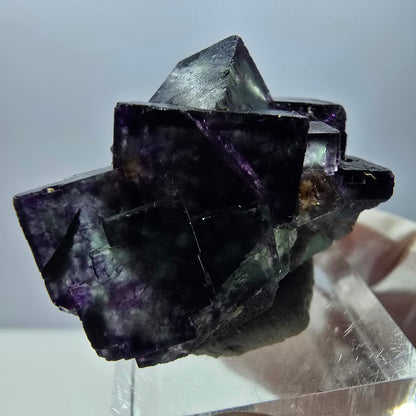 Rare spécimen de cube de fluorite fantôme, vert-violet, Okorusu, Namibie, 40 x 28 x 28 mm 