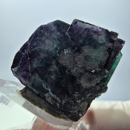 Rare spécimen de cube de fluorite fantôme, vert-violet, Okorusu, Namibie, 26 x 24 x 22 mm 