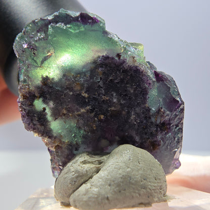 Rare spécimen de cube de fluorite fantôme, vert-violet, Okorusu, Namibie, 26 x 24 x 22 mm 