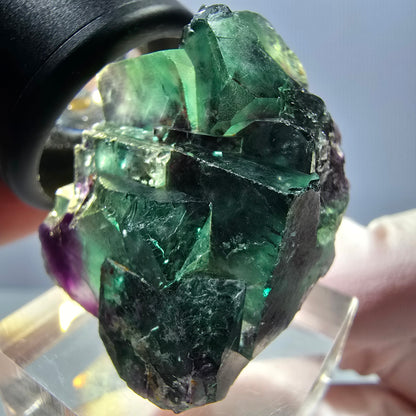 Spécimen rare de cube de fluorite fantôme, vert-violet, Okorusu, Namibie, 35 x 24 x 20 mm 