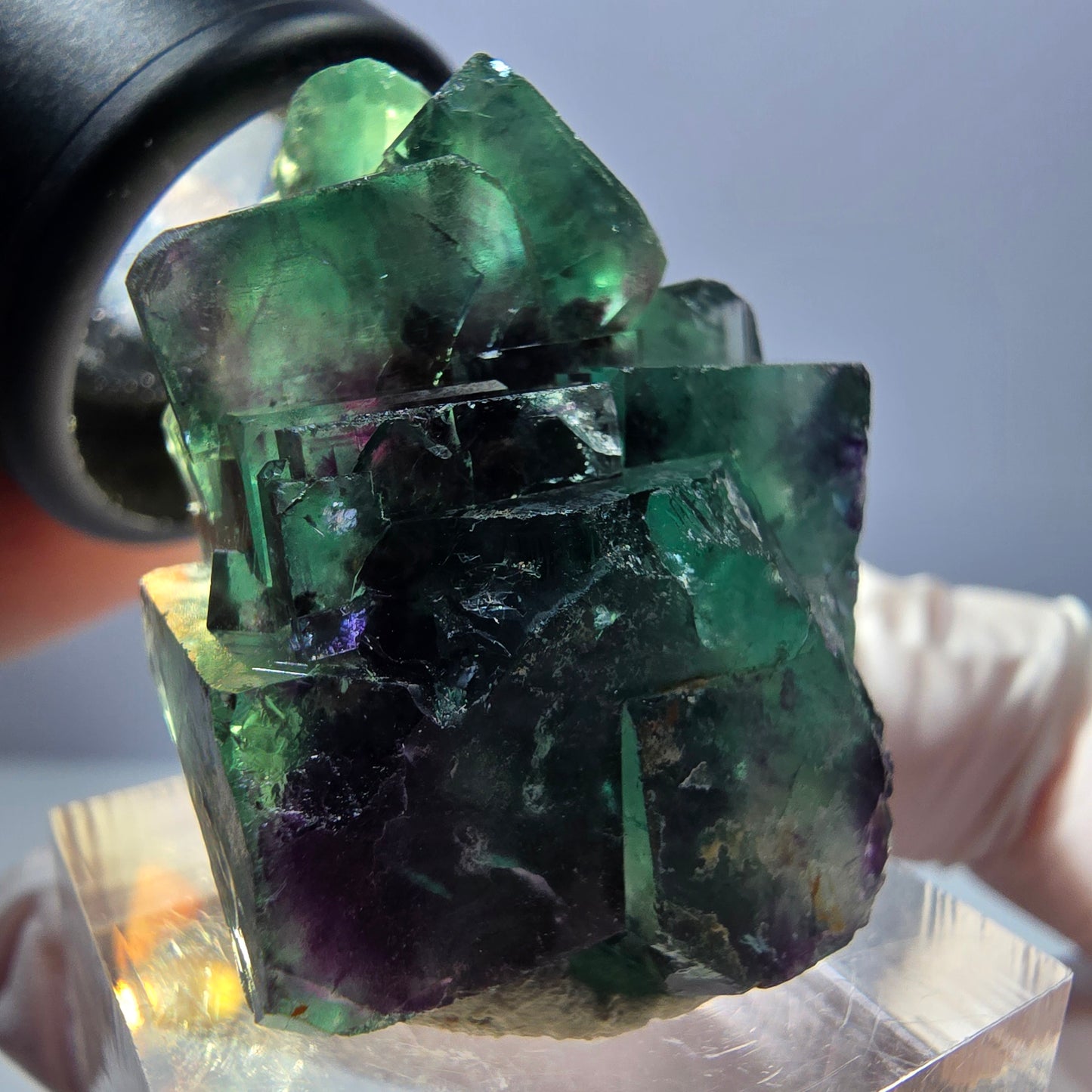Spécimen rare de cube de fluorite fantôme, vert-violet, Okorusu, Namibie, 35 x 24 x 20 mm 