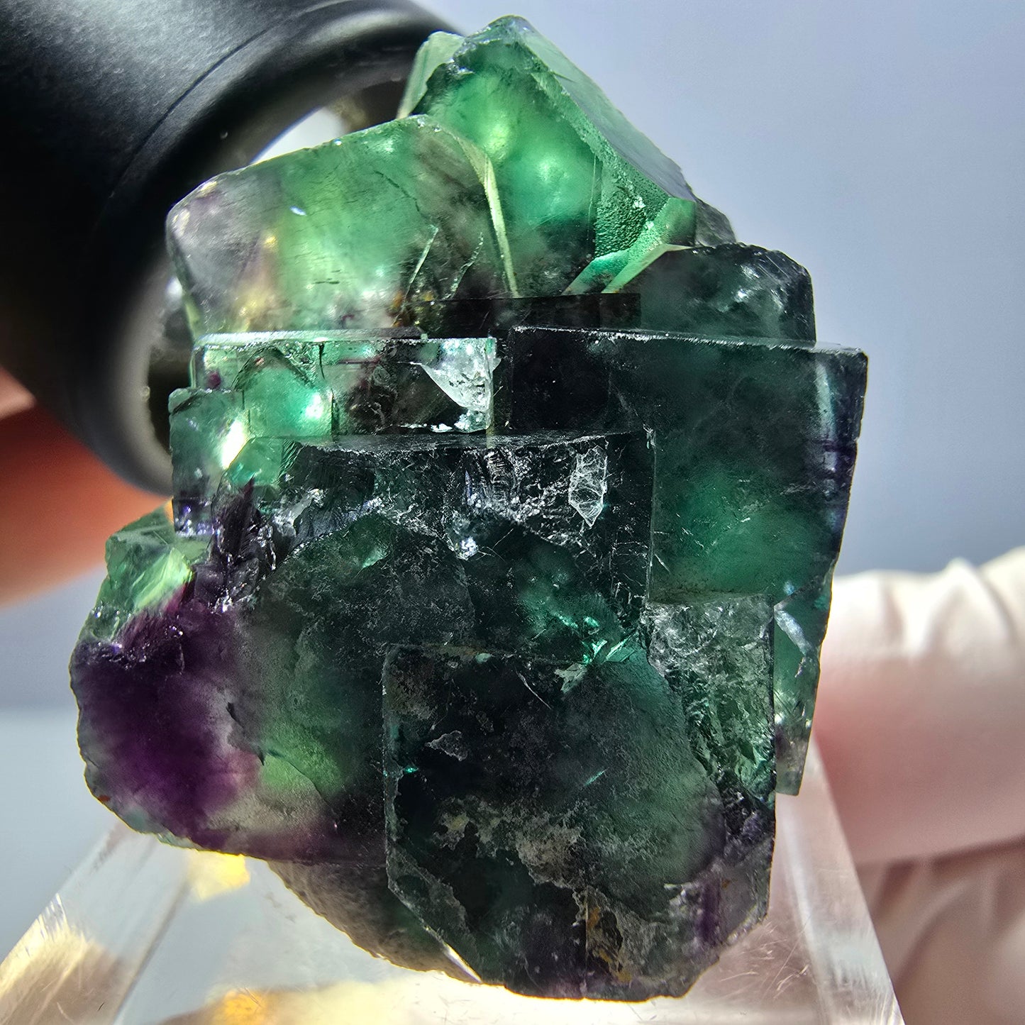 Spécimen rare de cube de fluorite fantôme, vert-violet, Okorusu, Namibie, 35 x 24 x 20 mm 