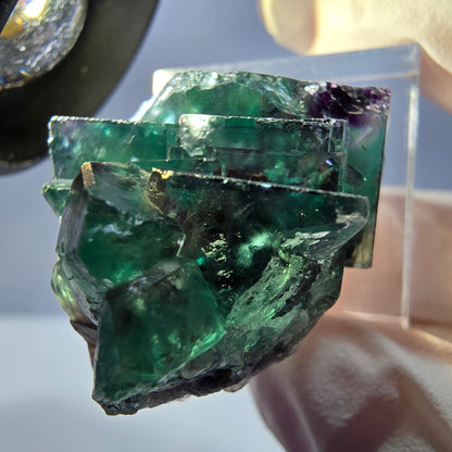 Spécimen rare de cube de fluorite fantôme, vert-violet, Okorusu, Namibie, 35 x 24 x 20 mm 