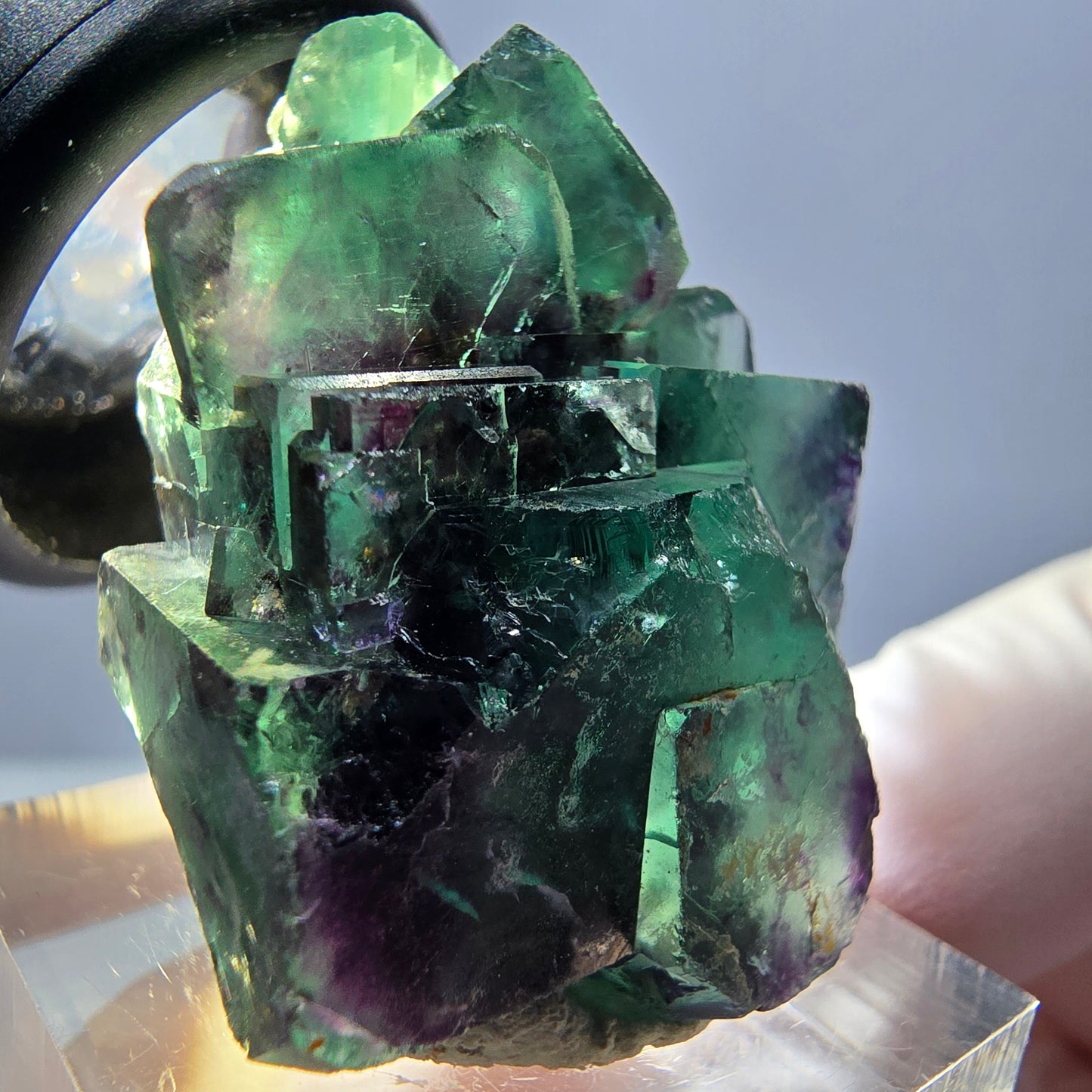 Spécimen rare de cube de fluorite fantôme, vert-violet, Okorusu, Namibie, 35 x 24 x 20 mm 