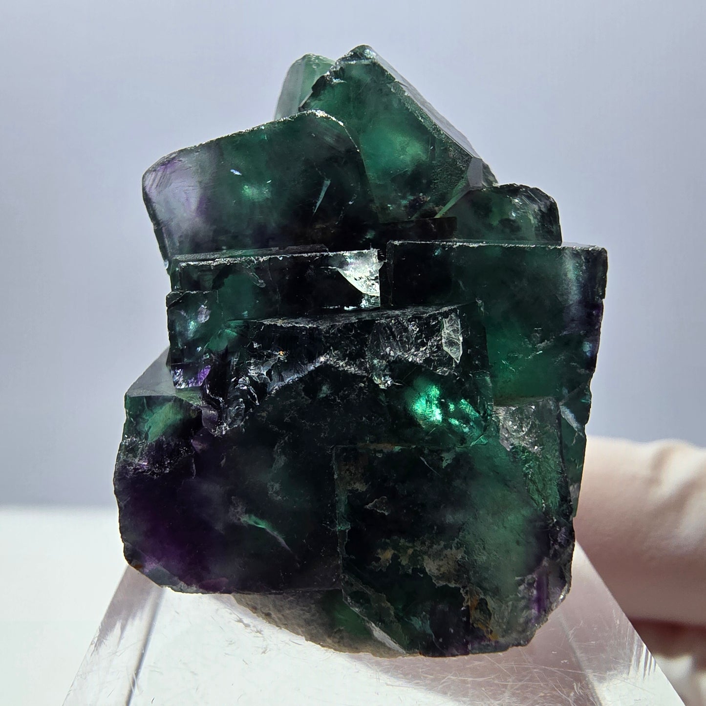 Spécimen rare de cube de fluorite fantôme, vert-violet, Okorusu, Namibie, 35 x 24 x 20 mm 
