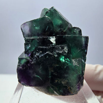 Spécimen rare de cube de fluorite fantôme, vert-violet, Okorusu, Namibie, 35 x 24 x 20 mm 