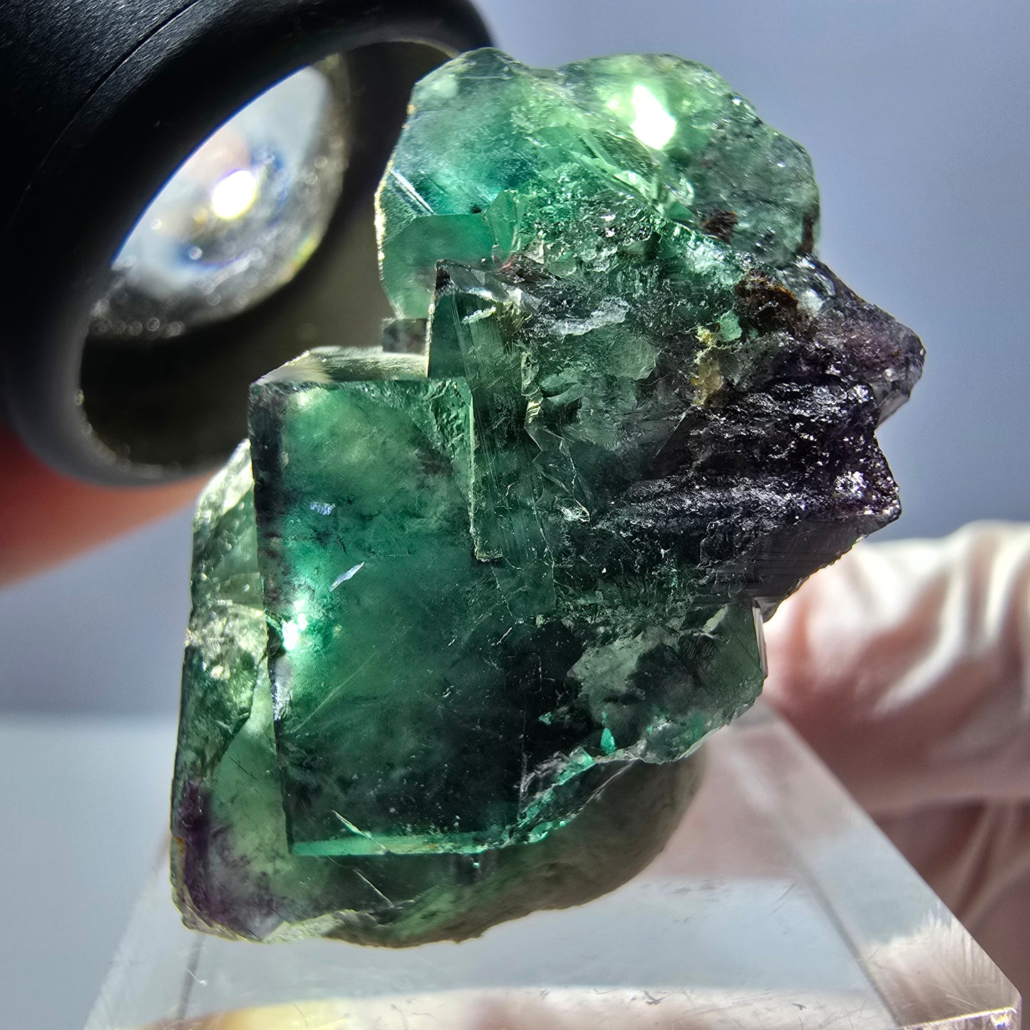 Spécimen rare de cube de fluorite fantôme, vert-violet, Okorusu, Namibie, 35 x 24 x 20 mm 
