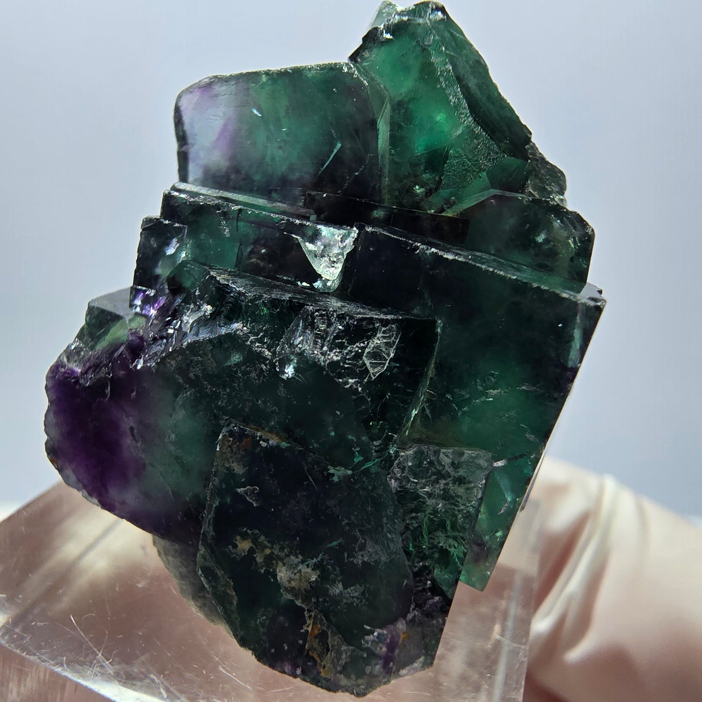 Spécimen rare de cube de fluorite fantôme, vert-violet, Okorusu, Namibie, 35 x 24 x 20 mm 