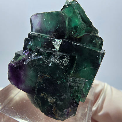 Spécimen rare de cube de fluorite fantôme, vert-violet, Okorusu, Namibie, 35 x 24 x 20 mm 