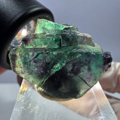 Rare spécimen de cube de fluorite fantôme, vert-violet, Okorusu, Namibie, 26 x 25 x 16 mm 