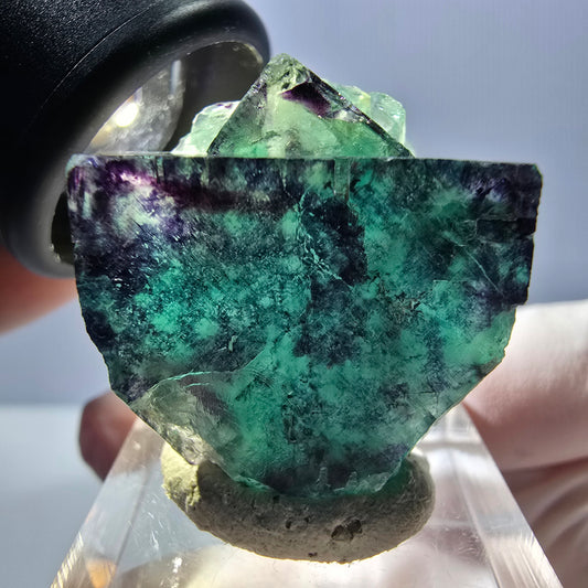 Spécimen rare de cube de fluorite fantôme, vert-violet, Okorusu, Namibie, 27 x 25 x 13 mm 