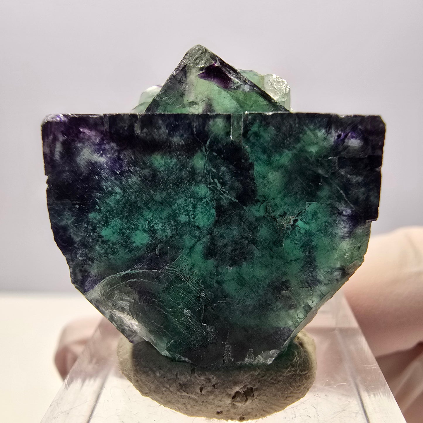 Spécimen rare de cube de fluorite fantôme, vert-violet, Okorusu, Namibie, 27 x 25 x 13 mm 