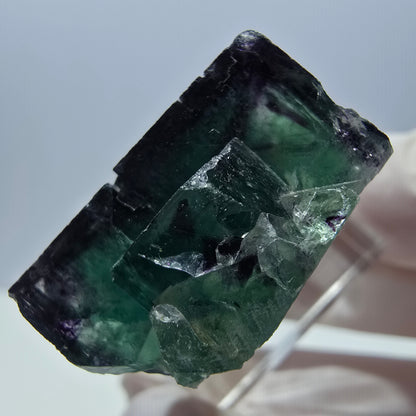 Spécimen rare de cube de fluorite fantôme, vert-violet, Okorusu, Namibie, 27 x 25 x 13 mm 