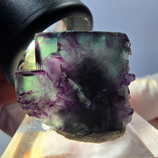 Rare spécimen de cube de fluorite fantôme, vert-violet, Okorusu, Namibie, 27 x 22 x 20 mm 
