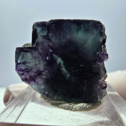 Rare spécimen de cube de fluorite fantôme, vert-violet, Okorusu, Namibie, 27 x 22 x 20 mm 