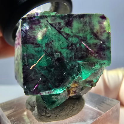 Spécimen rare de cube de fluorite fantôme, vert-violet, Okorusu, Namibie, 36 x 28 x 20 mm 