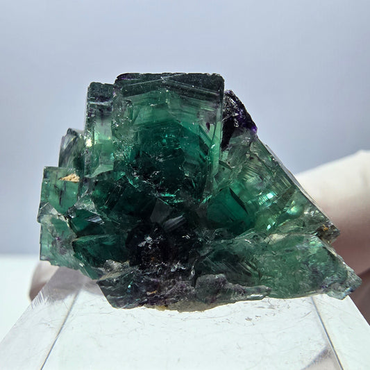 Rare spécimen de cube de fluorite fantôme, vert-violet, Okorusu, Namibie, 33 x 20 x 14 mm 